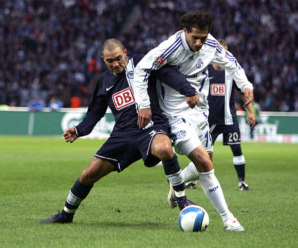 的理解提供 的理解提供